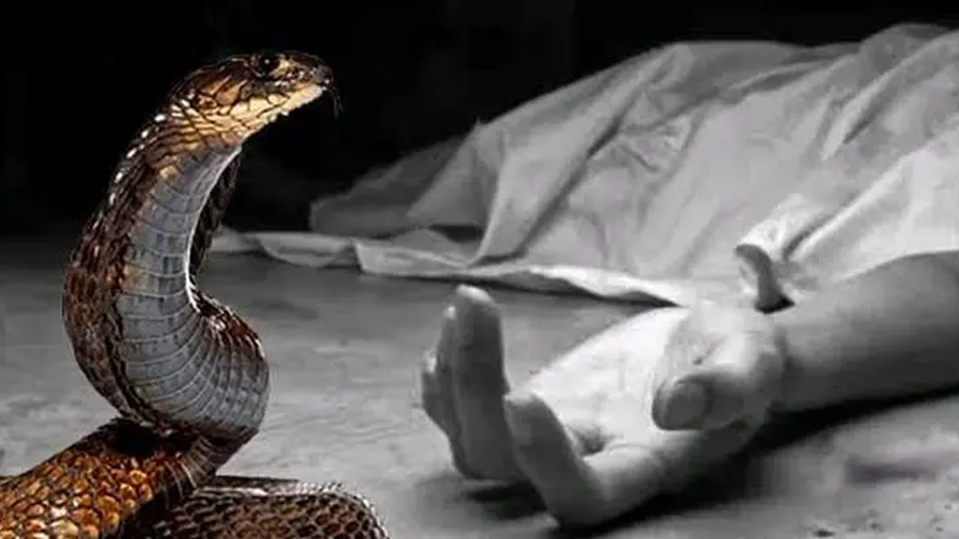 ঘুমের মধ্যে সাপের কামড়ে কলারোয়ায় স্কুলছাত্রের মৃত্যু